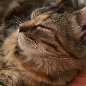 Meet your Posher, Loretta